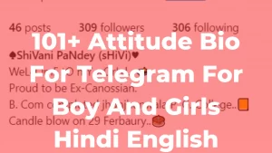 Attitude Bio For Telegram
