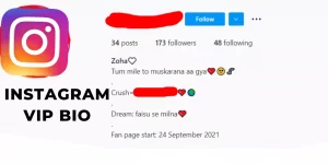Instagram VIP Bio