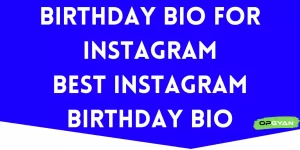 Birthday Bio For Instagram Instagram Birthday Bio
