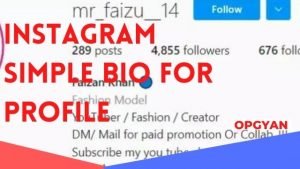 simple bio for instagram