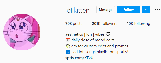 300+ Cool Aesthetic Bio For Instagram For Girls and Boys Aesthetic Bio for Instagram for girls