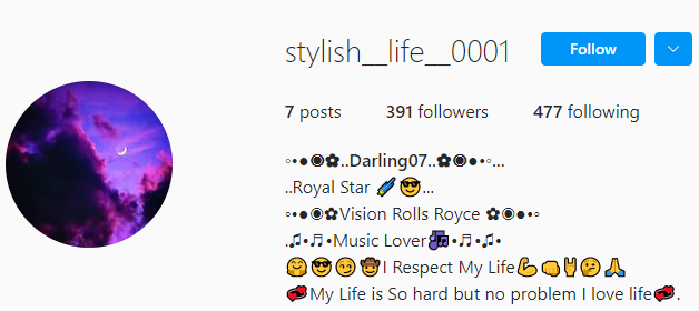 300+ Cool Aesthetic Bio For Instagram For Girls and Boys Aesthetic Bio for Instagram