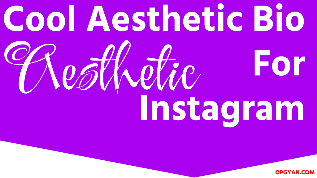 300+ Cool Aesthetic Bio For Instagram For Girls and Boys Short aesthetic bio for Instagram