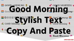 Good Morning Stylish Text