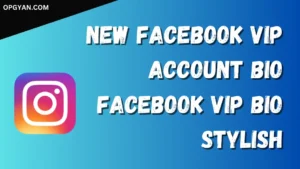 Facebook Vip Bio Stylish